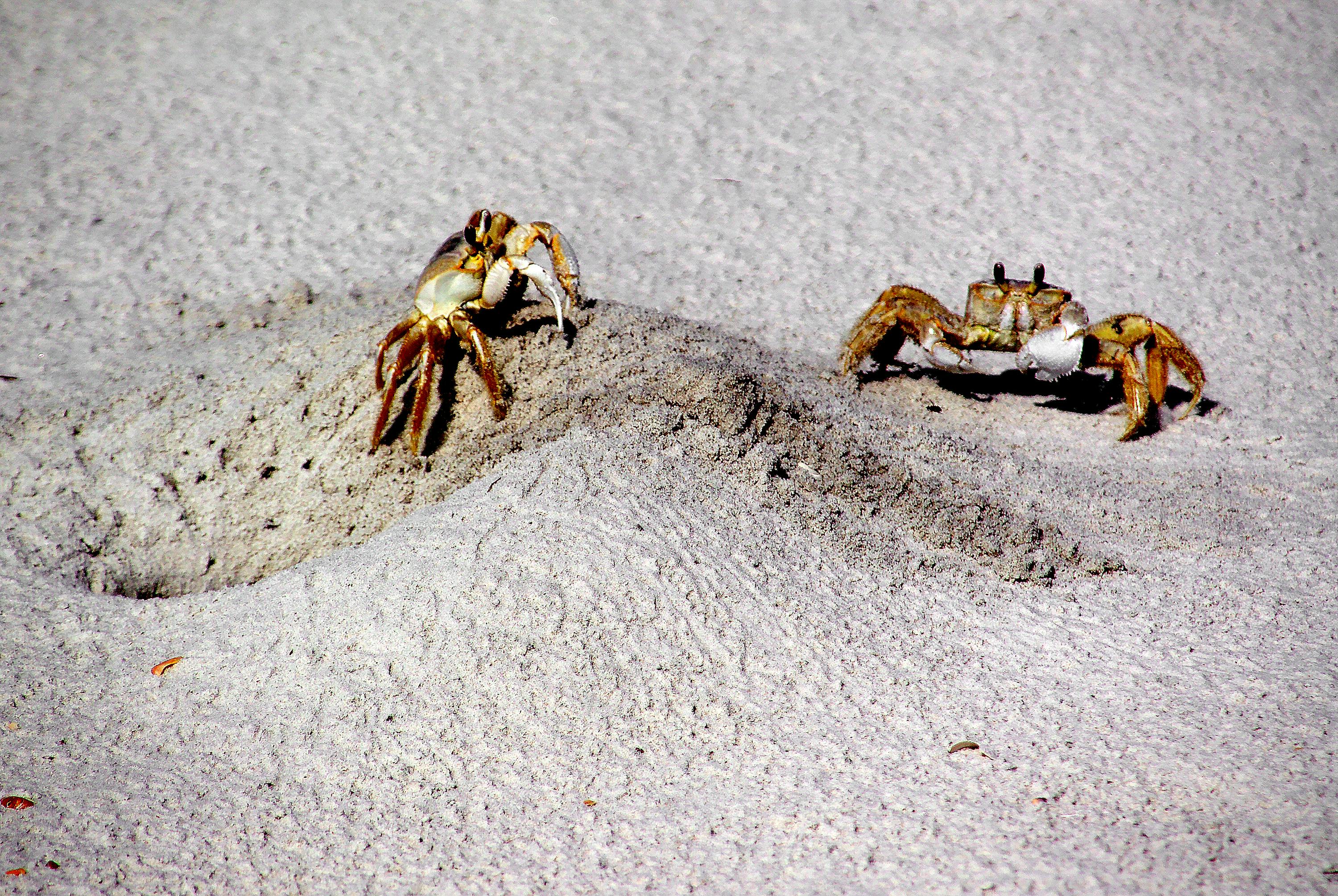 🇺🇸 Pontos Turísticos da Flórida: Guia Completo para Conhecer